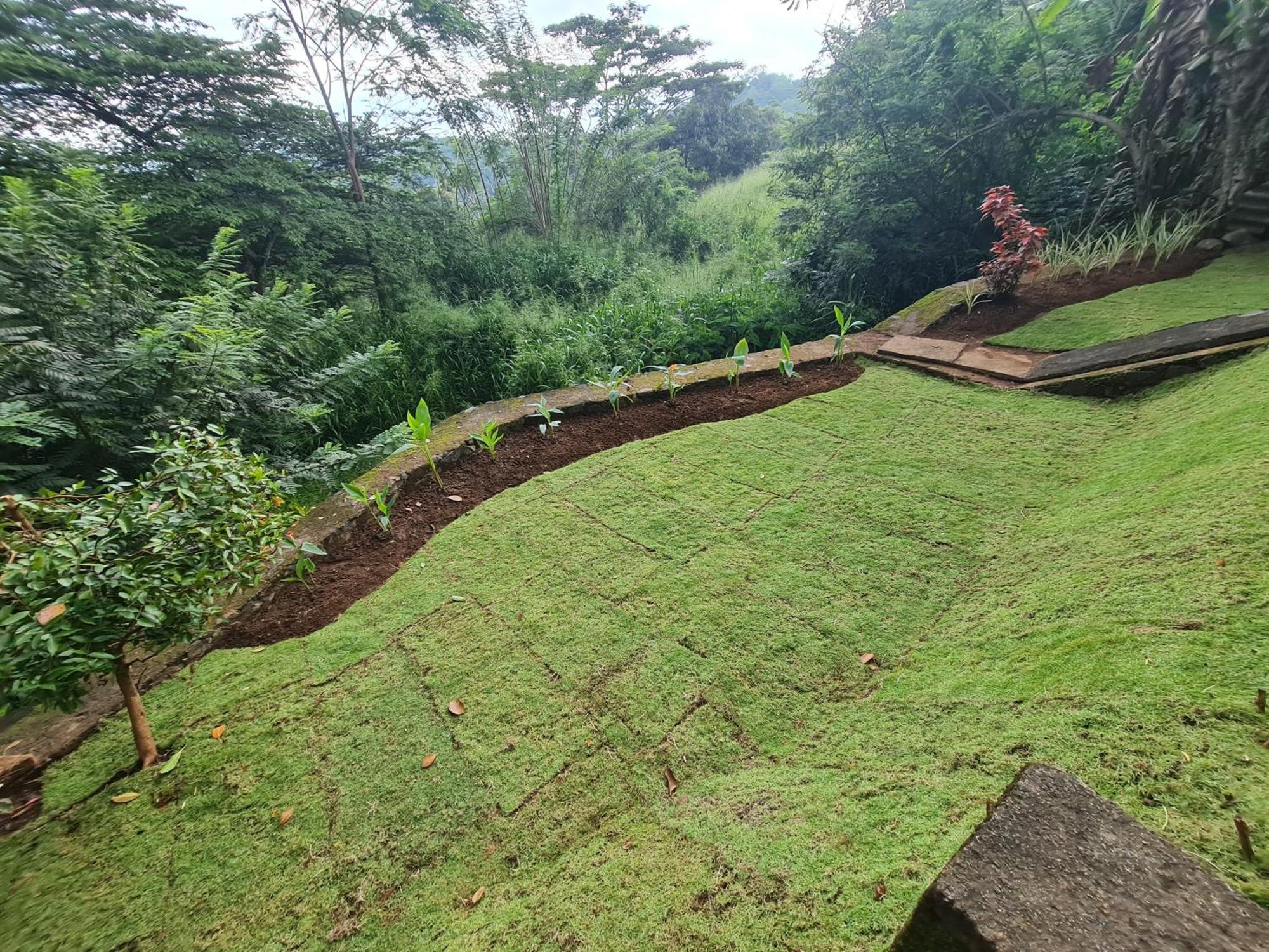 Hello Kandy Homestay 외부 사진